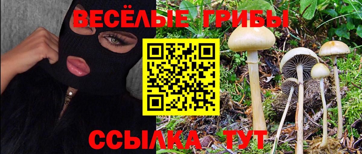 Галлюциногенные грибы мицелий Нефтеюганск
